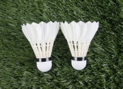 九游体育-丹麦羽毛球队力克法国羽毛球队，戴资颖制霸全场