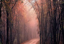 九游游戏-内马尔点球险胜KD！暴雨中的跨界对决引爆美洲杯前夕