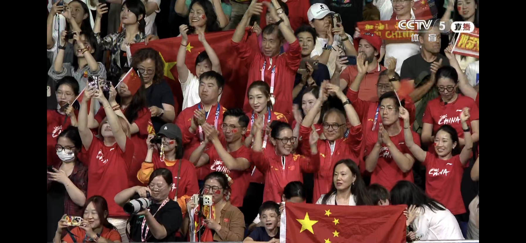 中国队逆转瑞典队，马龙带队取胜