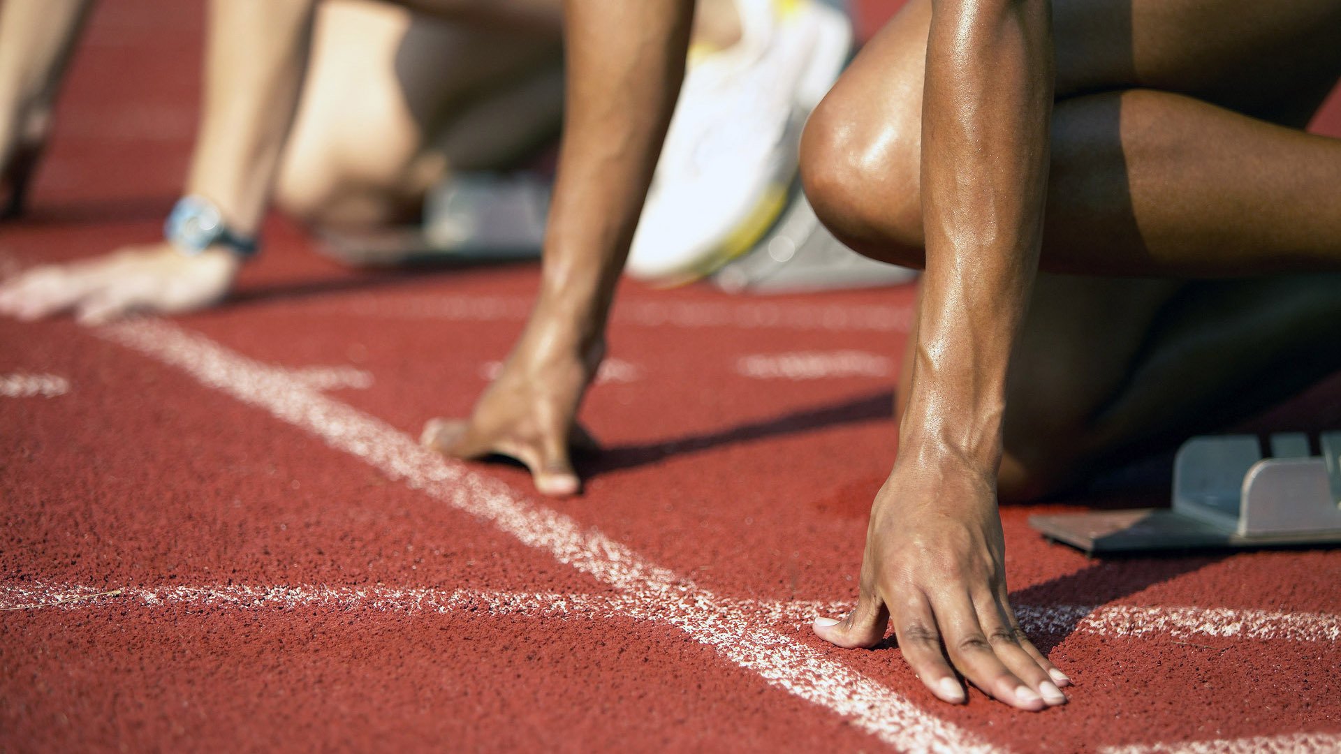 东决关键战焦点战,广东队攻防一体,全面碾压黄蜂