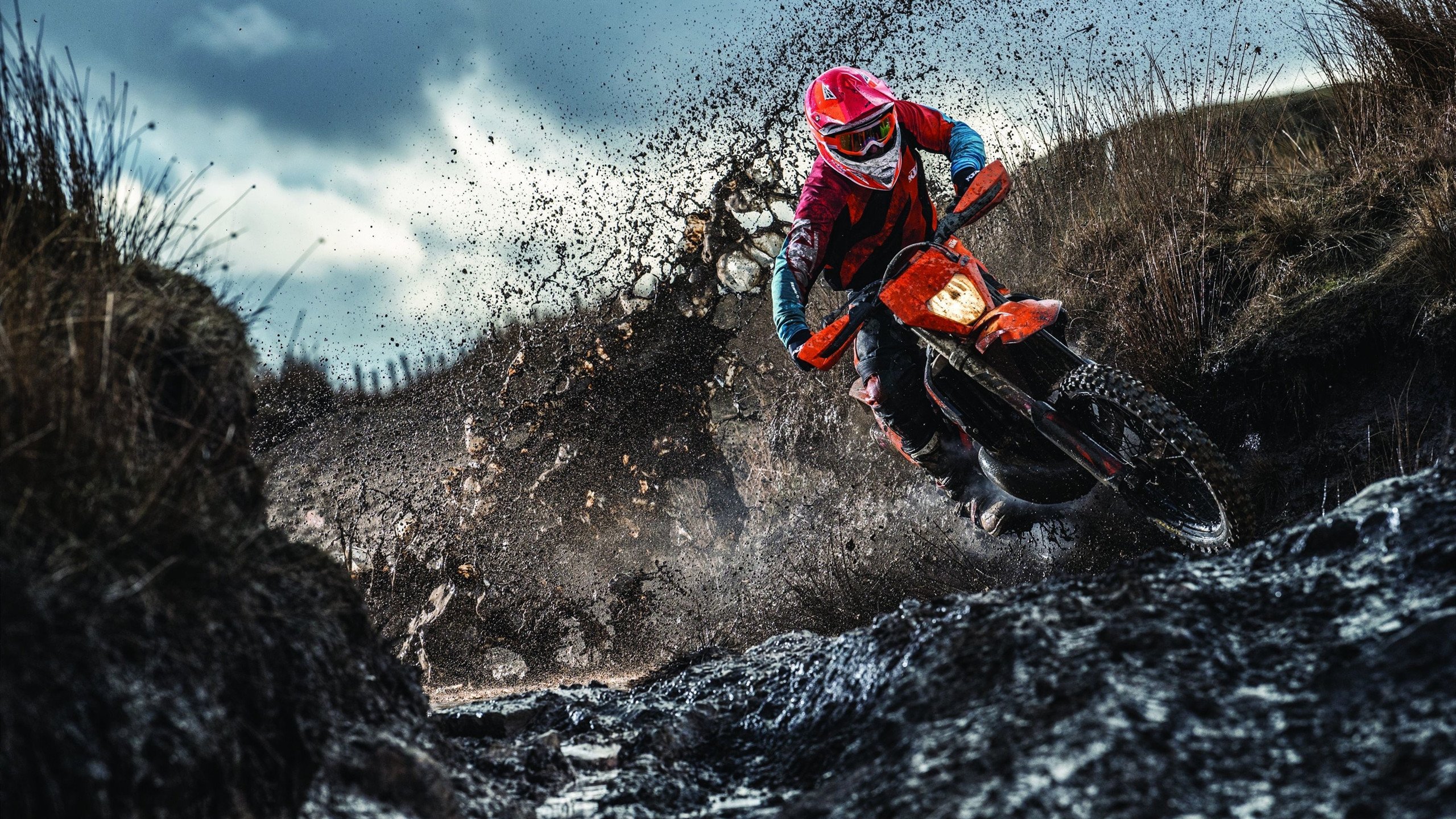 武切维奇自我救赎之战,湖人硬仗击退勇士,诠释竞技体育的永恒魅力